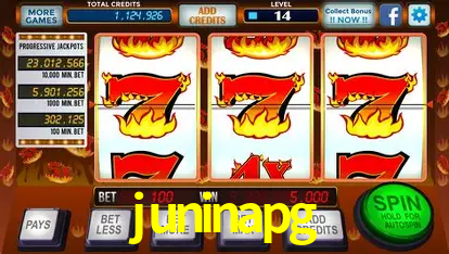 Descubra o Mundo do Cassino Online com juninapg